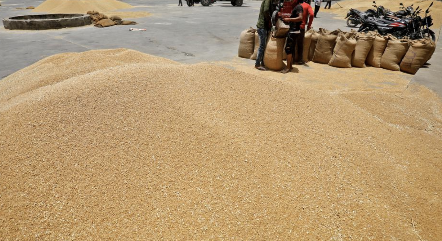 Agri Commodities to Watch in 2025: A Trader’s Perspective!